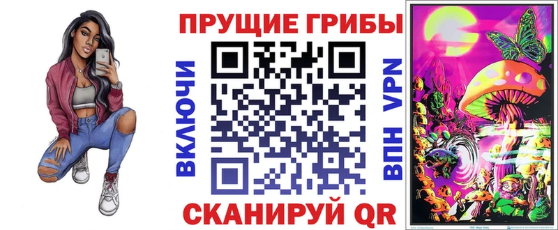 Купить закладки  Осинники  Псилоцибиновые грибы мухоморы 